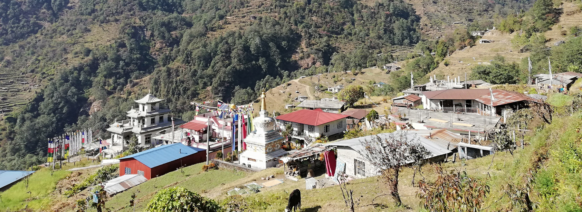 Cultural tours with homestay at Jayamrung-Lamasthan, Dhading
